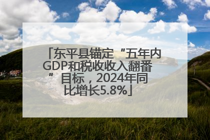 东平县锚定“五年内GDP和税收收入翻番”目标，2024年同比增长5.8%