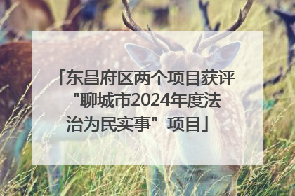 东昌府区两个项目获评“聊城市2024年度法治为民实事”项目