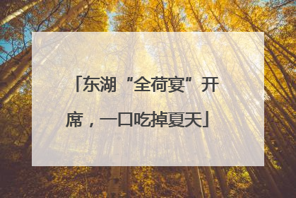 东湖“全荷宴”开席，一口吃掉夏天
