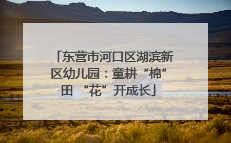 东营市河口区湖滨新区幼儿园：童耕“棉”田 “花”开成长
