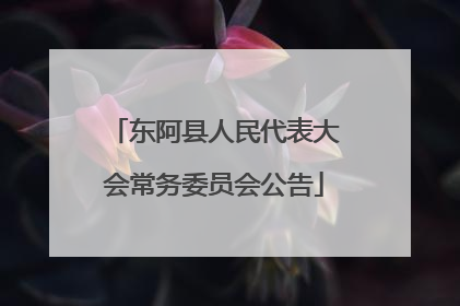 东阿县人民代表大会常务委员会公告
