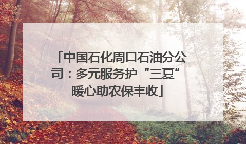 中国石化周口石油分公司：多元服务护“三夏” 暖心助农保丰收