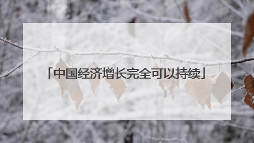 中国经济增长完全可以持续