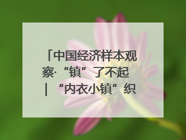 中国经济样本观察·“镇”了不起｜“内衣小镇”织出500亿元“里子产业”