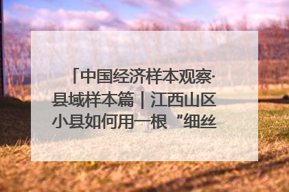 中国经济样本观察·县域样本篇｜江西山区小县如何用一根“细丝”拉出百亿级产业？
