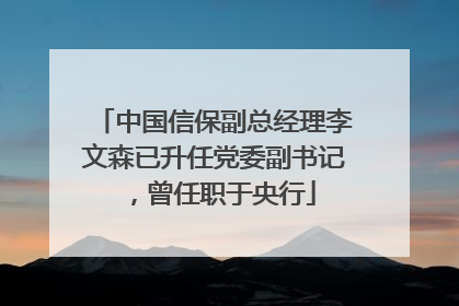 中国信保副总经理李文森已升任党委副书记，曾任职于央行