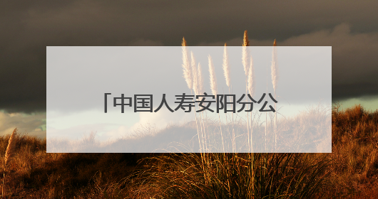 中国人寿安阳分公司：贴心服务送上门 金融温度暖人心