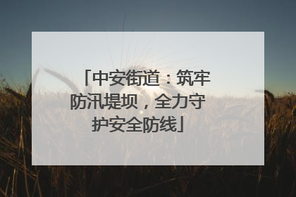 中安街道：筑牢防汛堤坝，全力守护安全防线