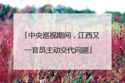中央巡视期间，江西又一官员主动交代问题