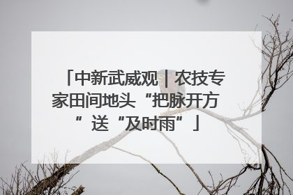 中新武威观｜农技专家田间地头“把脉开方”送“及时雨”