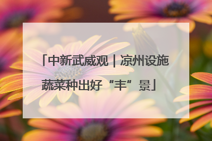 中新武威观｜凉州设施蔬菜种出好“丰”景