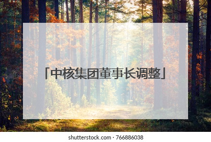 中核集团董事长调整