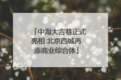 中海大吉巷正式亮相 北京西城再添商业综合体