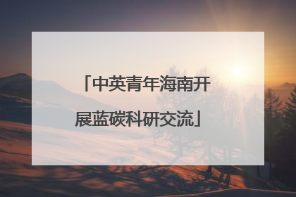 中英青年海南开展蓝碳科研交流