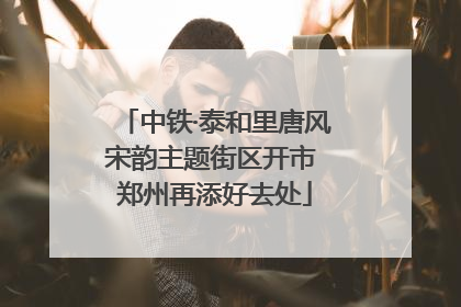 中铁·泰和里唐风宋韵主题街区开市 郑州再添好去处