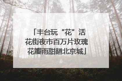 丰台玩“花”活 花街夜市百万片玫瑰花瓣雨甜翻北京城