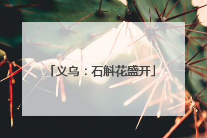 义乌：石斛花盛开