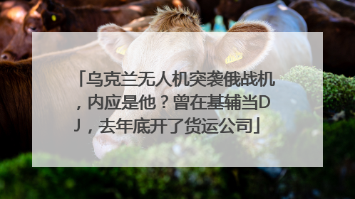 乌克兰无人机突袭俄战机,内应是他?曾在基辅当DJ,去年底开了货运公司
