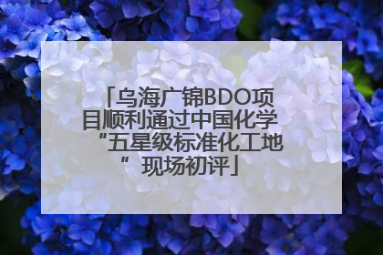乌海广锦BDO项目顺利通过中国化学“五星级标准化工地”现场初评
