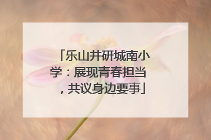 乐山井研城南小学：展现青春担当，共议身边要事