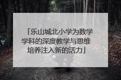 乐山城北小学为数学学科的深度教学与思维培养注入新的活力
