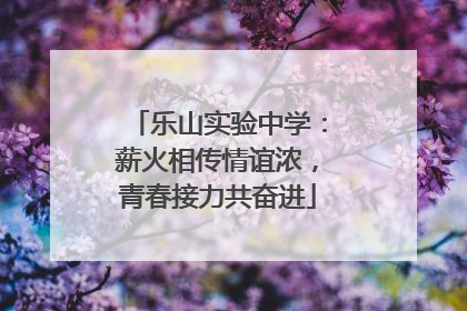 乐山实验中学：薪火相传情谊浓，青春接力共奋进