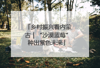 乡村振兴看内蒙古｜“沙漠蓝莓”种出紫色未来