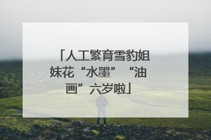 人工繁育雪豹姐妹花“水墨”“油画”六岁啦