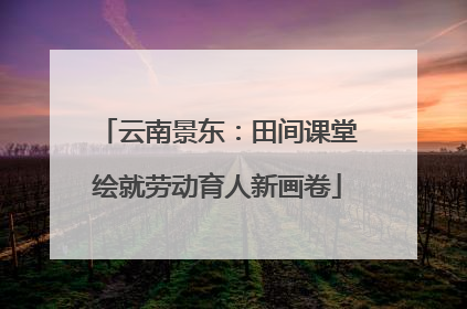 云南景东：田间课堂绘就劳动育人新画卷