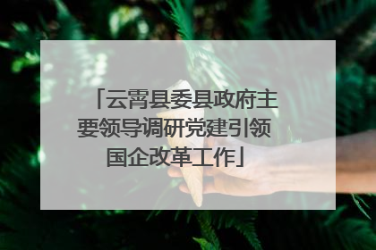 云霄县委县政府主要领导调研党建引领国企改革工作