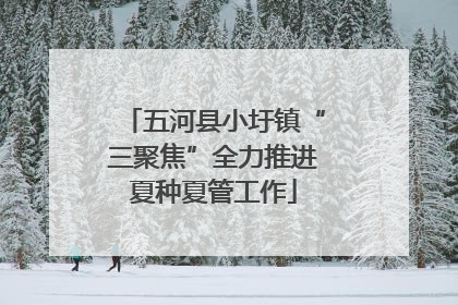 五河县小圩镇“三聚焦”全力推进夏种夏管工作