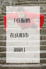 任振鹤在庆阳市调研