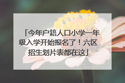今年户籍人口小学一年级入学开始报名了！六区招生划片表都在这