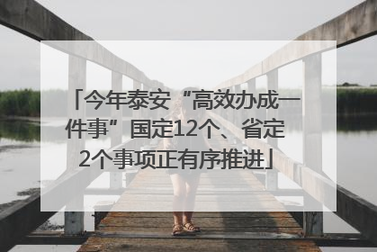 今年泰安“高效办成一件事”国定12个、省定2个事项正有序推进