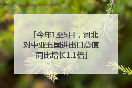 今年1至5月，河北对中亚五国进出口总值同比增长1.1倍