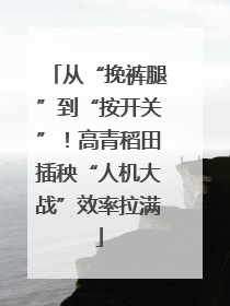 从“挽裤腿”到“按开关”！高青稻田插秧“人机大战”效率拉满