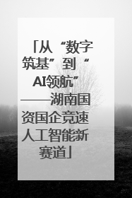 从“数字筑基”到“AI领航”——湖南国资国企竞速人工智能新赛道