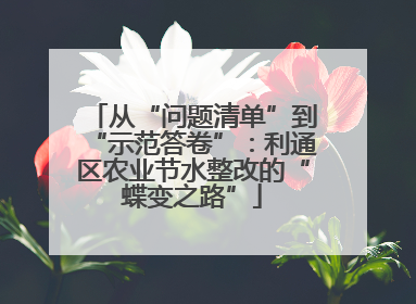 从“问题清单”到“示范答卷”：利通区农业节水整改的“蝶变之路”