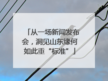 从一场新闻发布会，洞见山东缘何如此重“标准”