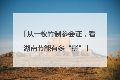 从一枚竹制参会证，看湖南节能有多“拼”