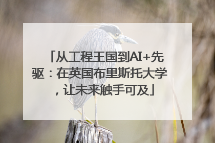 从工程王国到AI+先驱：在英国布里斯托大学，让未来触手可及