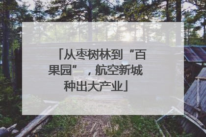 从枣树林到“百果园”，航空新城种出大产业