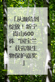 从濒危到绽放！新宁崀山600株“国宝兰”获省级生物保护嘉奖