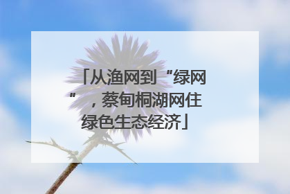 从渔网到“绿网”，蔡甸桐湖网住绿色生态经济