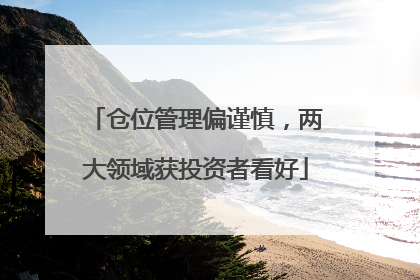 仓位管理偏谨慎，两大领域获投资者看好