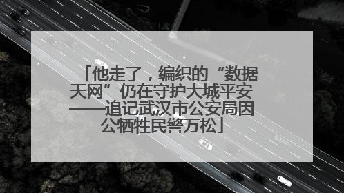 他走了，编织的“数据天网”仍在守护大城平安——追记武汉市公安局因公牺牲民警万松