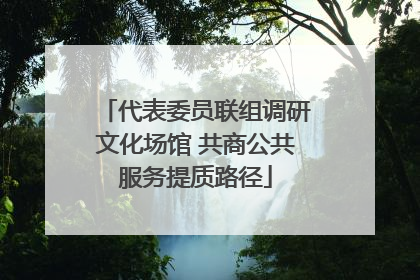 代表委员联组调研文化场馆 共商公共服务提质路径