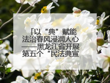 以“典”赋能 法治春风浸润人心——黑龙江省开展第五个“民法典宣传月”活动综述