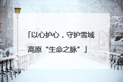 以心护心，守护雪域高原“生命之脉”
