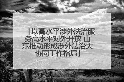 以高水平涉外法治服务高水平对外开放 山东推动形成涉外法治大协同工作格局